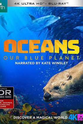 [REMUX.HEVC] 海洋：我们的蓝色星球 Oceans.Our.Blue.Planet.2018.DOCU.2160p.BluRay.REMUX.HEVC.DTS-HD.MA.5.1-FGT 17GB