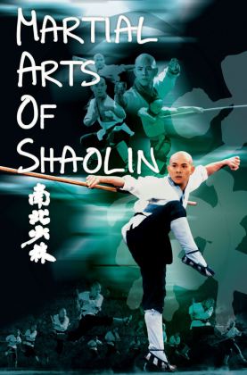 南北少林 Martial Arts of Shaolin 1986 国语高清 H265 1080P MKV 2.7G