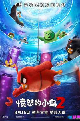 [豆瓣7.0]1080P.60帧.愤怒的小鸟2 The Angry Birds Movie 2.H264.DTS-HD[英文5.1原声/国英字幕/15.08G]
