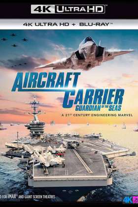 [4K] 航空母舰：七海卫士 Aircraft.Carrier.Guardian.of.the.Seas.2016.2160p.BluRay.HEVC.TrueHD.7.1.Atmos-VinO 22.36G
