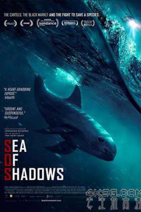 暗海 Sea of Shadows (2019)/海豚守護戰（港）
