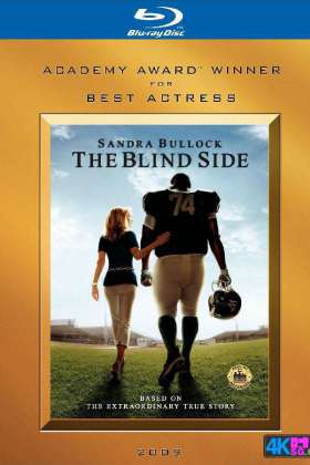 弱点(国英双语)The.Blind.Side.2009.1080p.X264.DTS[11.35GB]