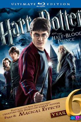 [4K] 哈利·波特与混血王子 Harry.Potter.and.the.Half-Blood.Prince.2009.2160p.BluRay.x264.8bit.SDR.DTS-X.7.1-SWTYBLZ 33.05G