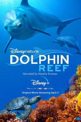 海豚礁 Dolphin.Reef.2020.4K.x265.10bit.HDR.DDP5.1[ 8.91 ]